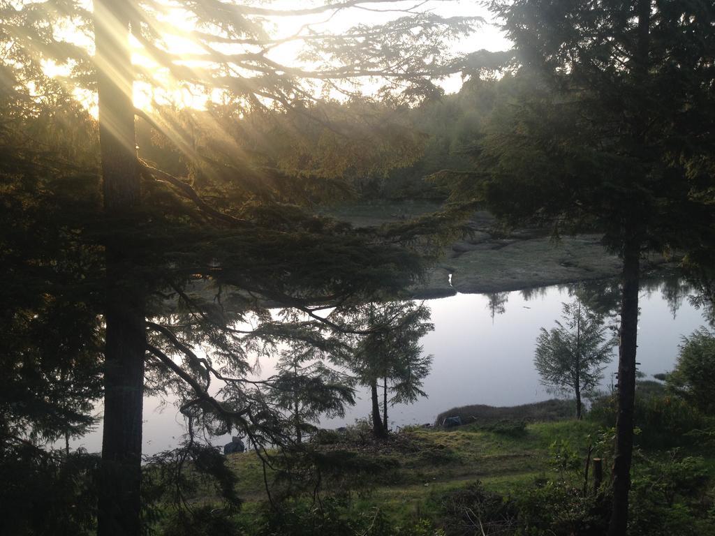 Hyphocus Inn Ucluelet Δωμάτιο φωτογραφία