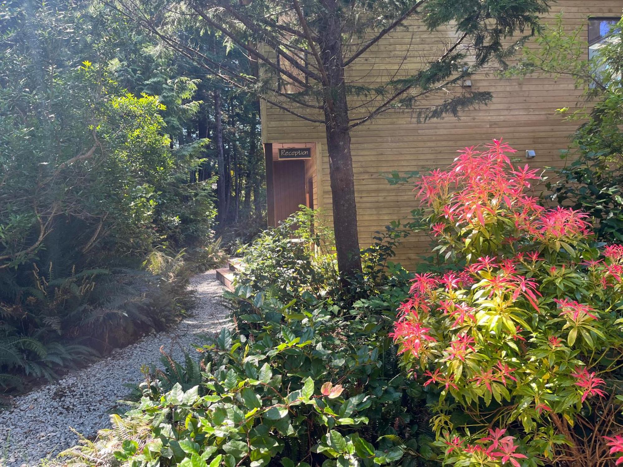 Hyphocus Inn Ucluelet Εξωτερικό φωτογραφία
